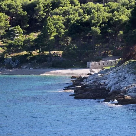 Apartment Zoki - Great Location Close To The Sea *