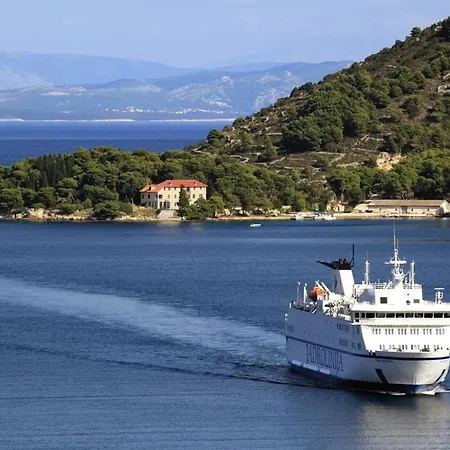 Apartment Zoki - Great Location Close To The Sea Vis