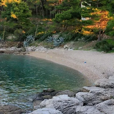 Zoki - Great Location Close To The Sea *