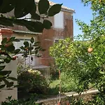 Apartament Zoki Vis