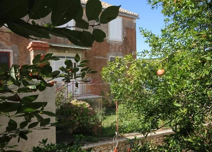 Appartement Zoki Vis