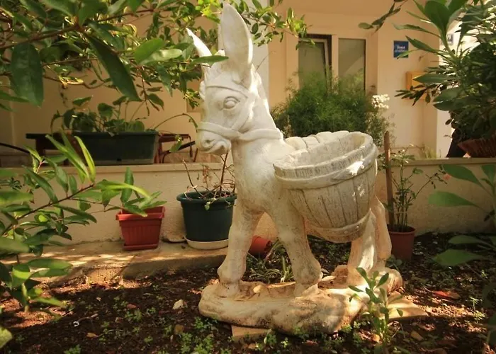 Zoki Appartement Vis